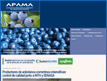 Tablet Screenshot of apama.com.ar